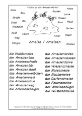 Ameisen-Wörter-Lösung.pdf